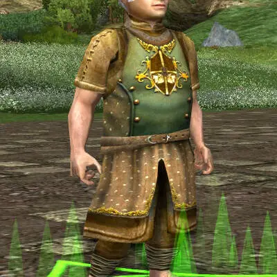 Hobbit Lad: Leather Guard Outfit