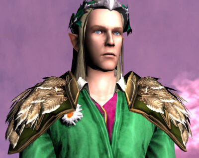 LOTRO Mantle of the Spring Woods - Male High Elf
