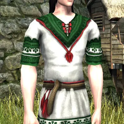 LOTRO Tunic Set of the Mountain Meadow | Male Elf