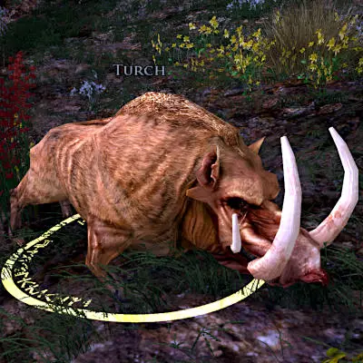 LOTRO Turch - Trophy-hunter of Cardolan Deed Target