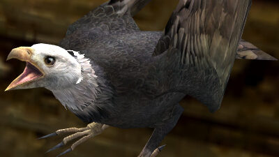 The LOTRO White-headed Hawk Pet on the ground.