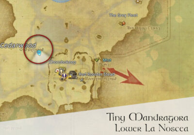 FFXIV Tiny Mandragora Location Map (Lower La Noscea)