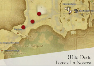 FFXIV Wild Dodo Location Map