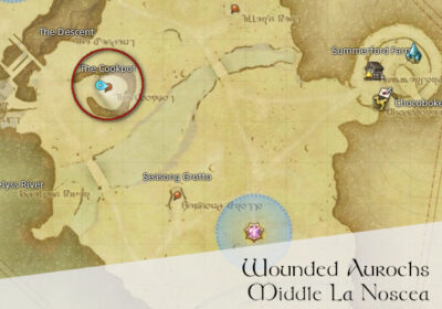 FFXIV Wounded Aurochs Location Map