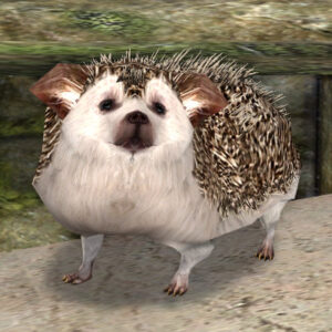 LOTRO Hedgehog pet looks at you