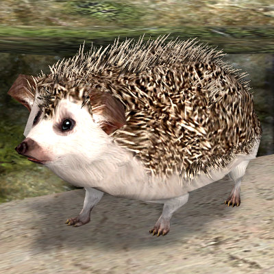 LOTRO Hedgehog Pet | Spring Festival Tome of the Hedgehog