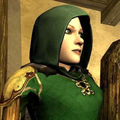 LOTRO Salvaged Elven-made Leather Hood Cosmetic