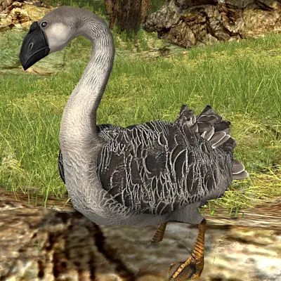 LOTRO Goose Pet | Tome of the Silly Goose | Spring Festival