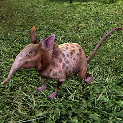 LOTRO Spotted Shrew Pet | Spring Festival Cosmetic Pet Tome