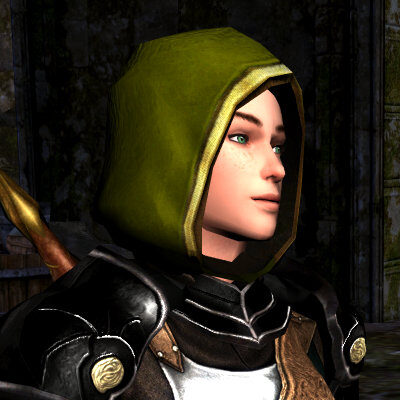 LOTRO Stitched Hood Cosmetic