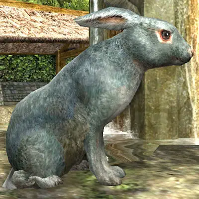 LOTRO Woodland Rabbit Pet | Spring Festival Cosmetic Pet