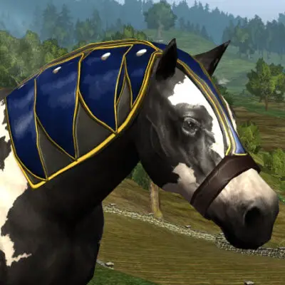 LOTRO Head-piece of Remembrance | Anniversary War-Steed Cosmetic