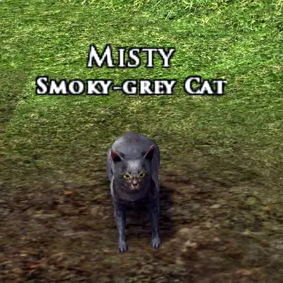 LOTRO Smoky-grey Cat Pet | Myrtle Mint