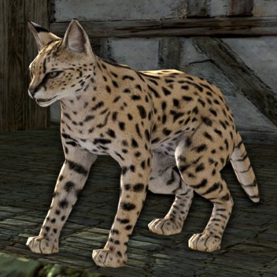 LOTRO Tome of the Sitaka Pet | Myrtle Mint (Figments of Splendour)