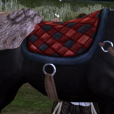 LOTRO War-steed of the Heartwood Caparison