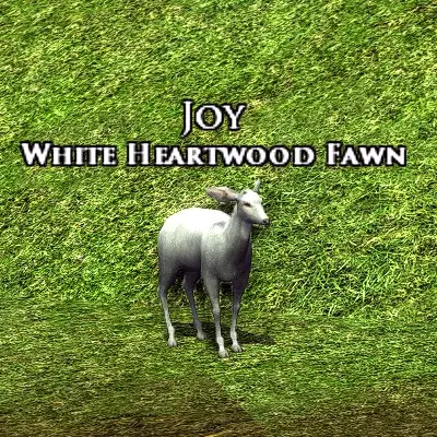 LOTRO White Heartwood Fawn Pet | Myrtle Mint