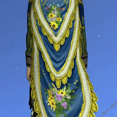 LOTRO Summer Concert Cloak | Midsummer Festival 2023 Outfit Cosmetic