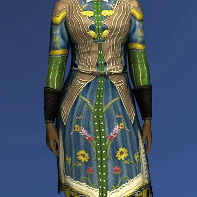 LOTRO Summer Concert Tunic | Midsummer Festival 2023 Outfit Cosmetic
