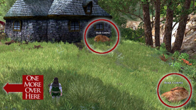 There are three bears behind the house you can use for skinning. Just use one multiple times.