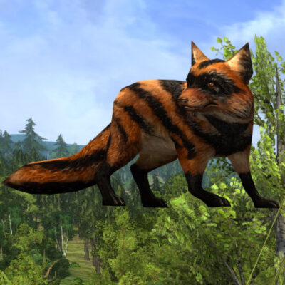 LOTRO Tome of the Fire-fox Bandit Pet | 2023 Farmers Faire | Firefox Pet