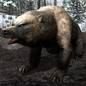 Large Snow-bear - a brown variety | Misty Mountains