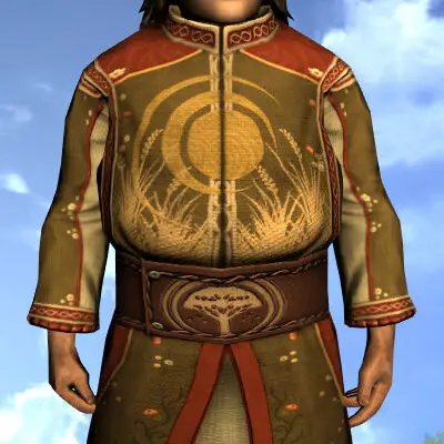 LOTRO Robe of the Blazing Firmament | Male Hobbit