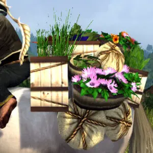 LOTRO Shimmering Breeze Accessory - Other Side