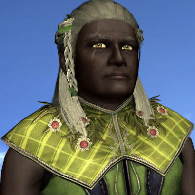 LOTRO Cape of the River-folk Cosmetic (Shoulders, not back)