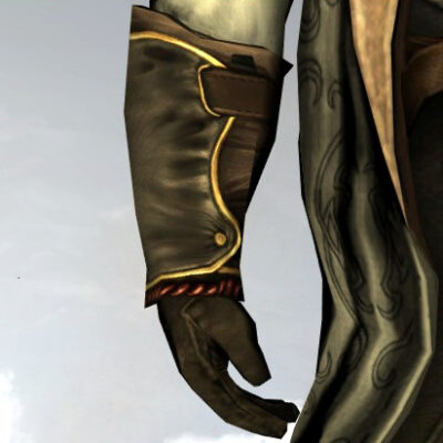 LOTRO Gloves of the Shipwrecked Mariner
