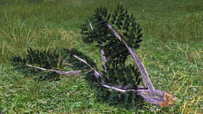 LOTRO Ash Branches on the ground in the Shire