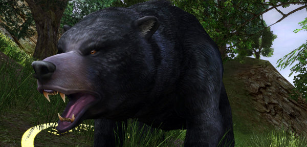 LOTRO Mature Black-bear - L13+ bears can drop Medium Hides. Remember L12 and below will still give Light Hides.