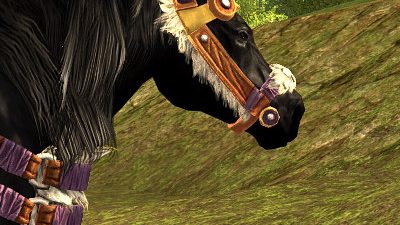 LOTRO Head-piece of Icy Expeditions | War-steed Cosmetic Appearance