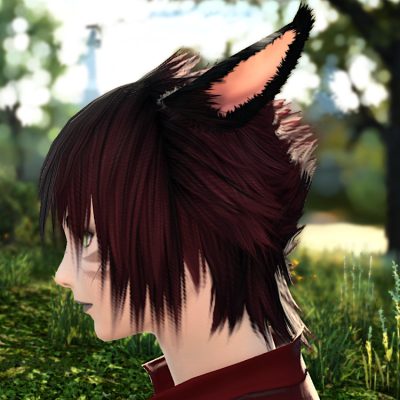 FFXIV Lucian Locks Hairstyle - two tone - side view
