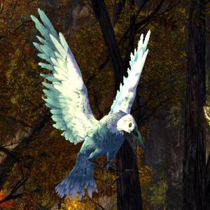 LOTRO Frost-Raven Companion / Pet