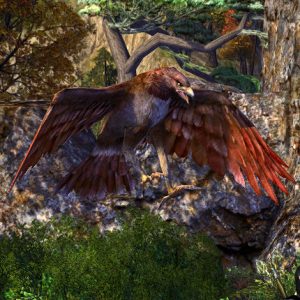 Lore-Master Eagle Pet / Companion