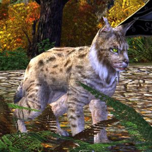 Lore-Master Lynx Pet / Companion