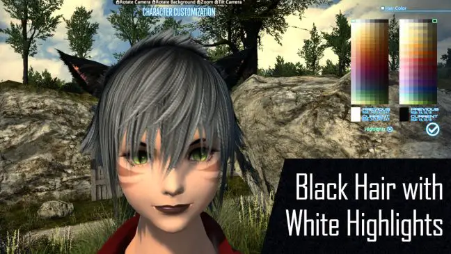 Lucian Locks: Black Hair, White Highlights
