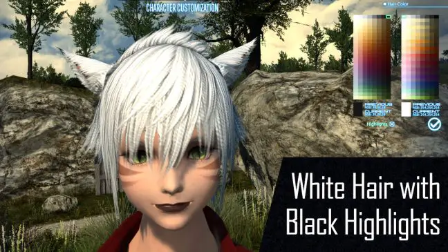 Lucian Locks: WhLucian Locks: White Hair, Black Highlightsite Hair, Black Highlights
