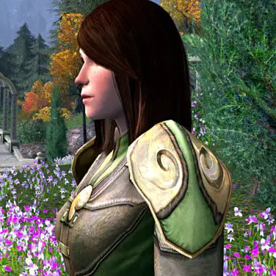 LOTRO Shoulder-guards of the Perfect Curl | Spring Festival 2024 Cosmetic
