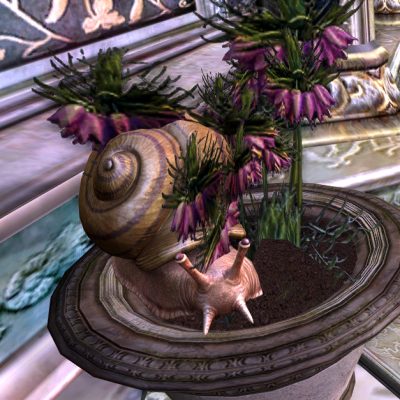 I'm not eating Elrond's flowers, said the snail. I'm just admiring them. With my mouth.