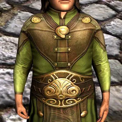 Perfect Curl Tunic on a Male Hobbit