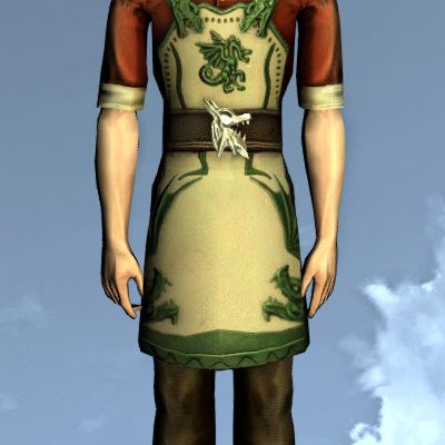 Not that it suits my male High Elf Namesake, but here's how that Green Dragon Inn tunic set looks.
