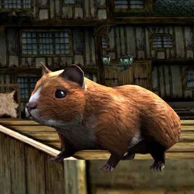 (Updated) LOTRO Sienna Hamster Pet | Anniversary Event Cosmetic Pet Tome