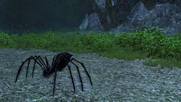 LOTRO Southern Old Forest, where spiders nest.