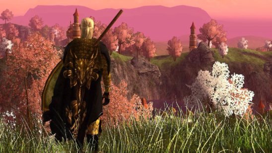 A temporary character I created years ago to try a Male High Elf and the Warden class - and make some LOTRO Points. Okay, mostly it was for the LOTRO Points!