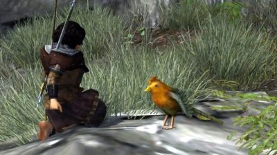 Attending a poisoned bird in the Wildwoods of Bree-land