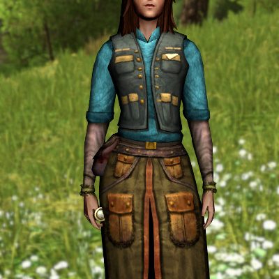 LOTRO - Blue Birding Garments (Bree-land Birding Deed Reward)