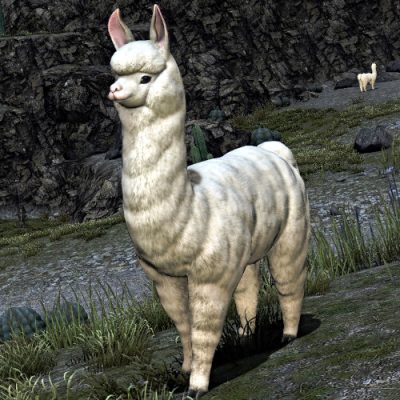 FFXIV Alpaca - weirdly a Dawn Hunt target in Dawntrail. Surely the Pelupelu know how to manage their herd sizes?