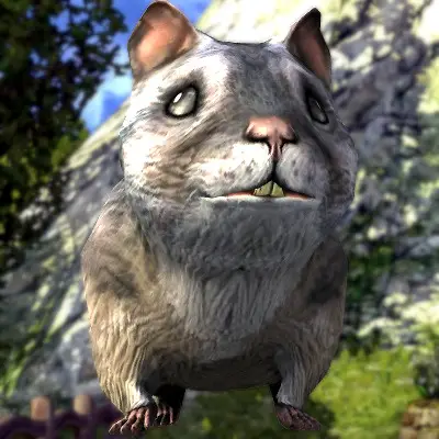 LOTRO Tome of the Heather Hamster pet | LOTRO Farmers Faire 2024 cosmetic pet reward.