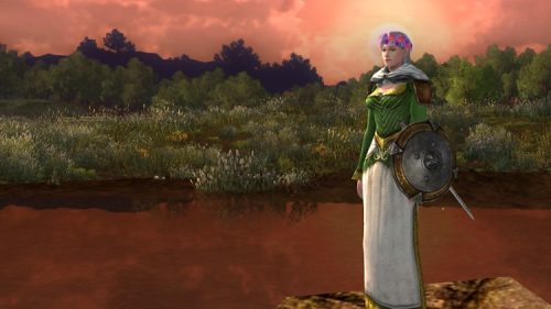 One of my daughter's Free-to-Play LOTRO Characters.